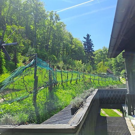Das Altsteirische Landhaus - La Maison De Pronegg - Feriendomizil Im Biosphaerenpark Wienerwald Pressbaum Exteriér fotografie