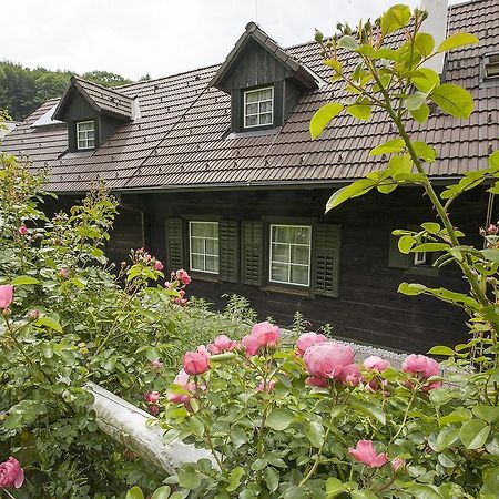 Das Altsteirische Landhaus - La Maison De Pronegg - Feriendomizil Im Biosphaerenpark Wienerwald Pressbaum Pokoj fotografie