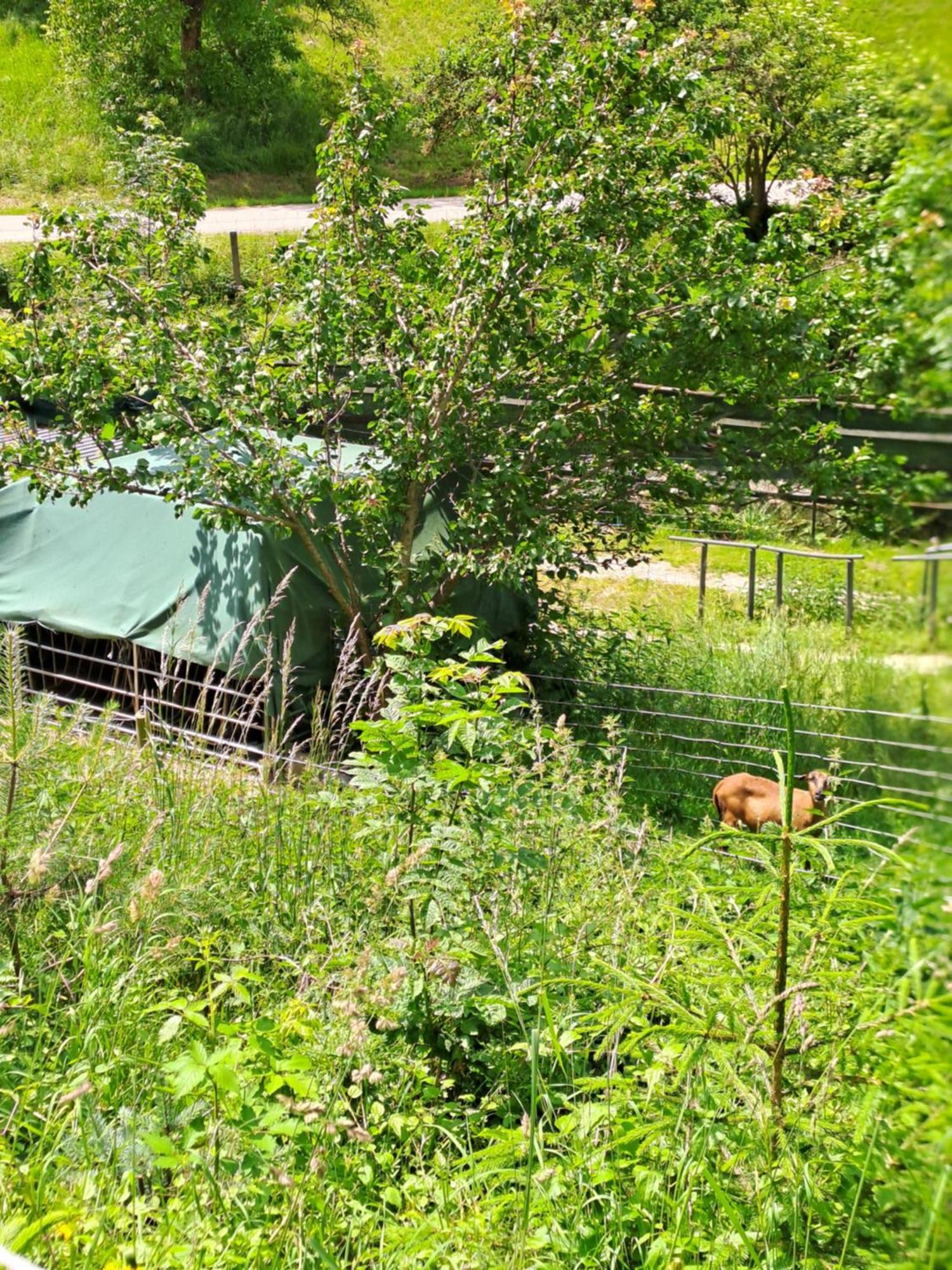 Das Altsteirische Landhaus - La Maison De Pronegg - Feriendomizil Im Biosphaerenpark Wienerwald Pressbaum Exteriér fotografie