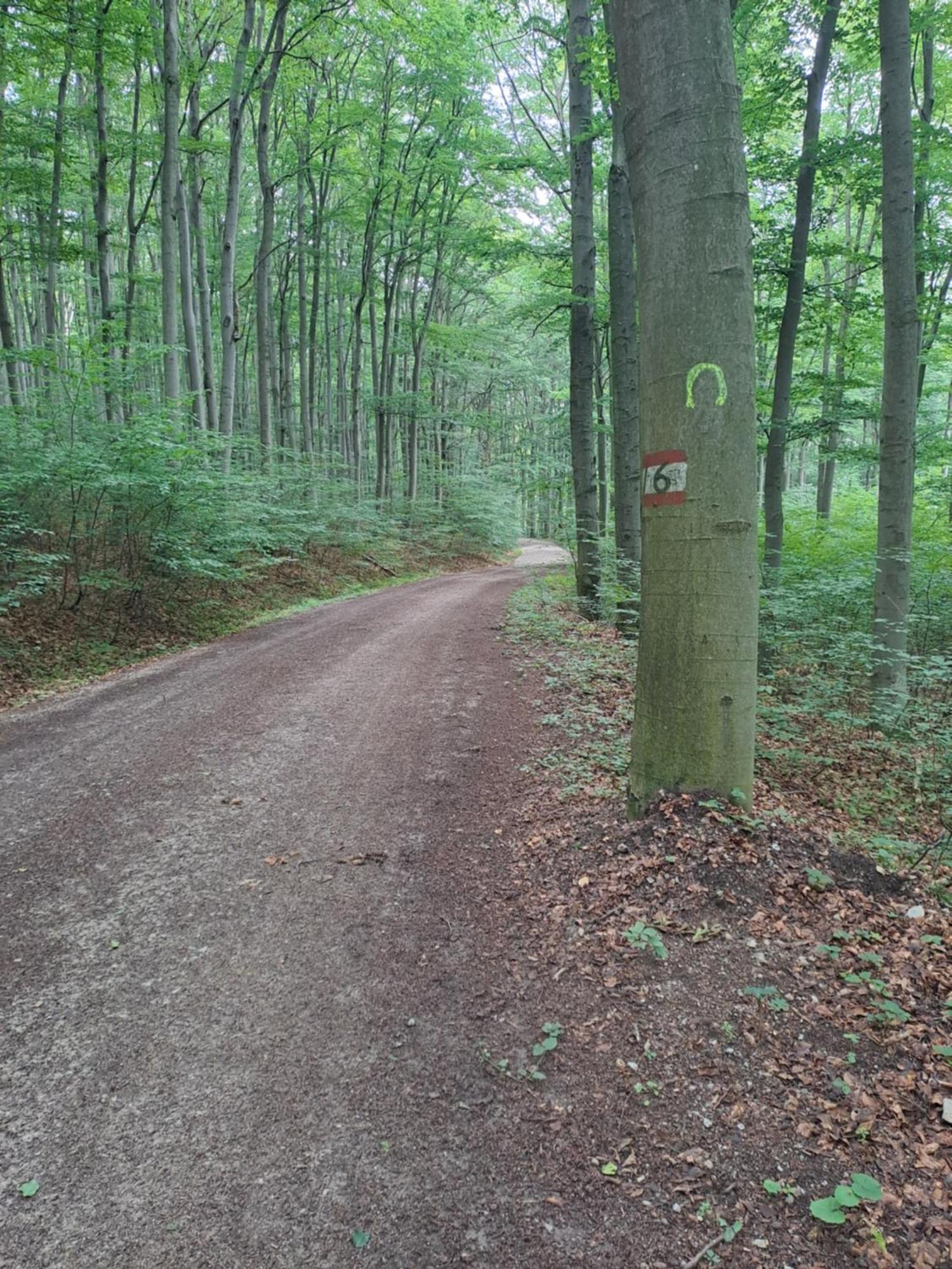 Das Altsteirische Landhaus - La Maison De Pronegg - Feriendomizil Im Biosphaerenpark Wienerwald Pressbaum Exteriér fotografie