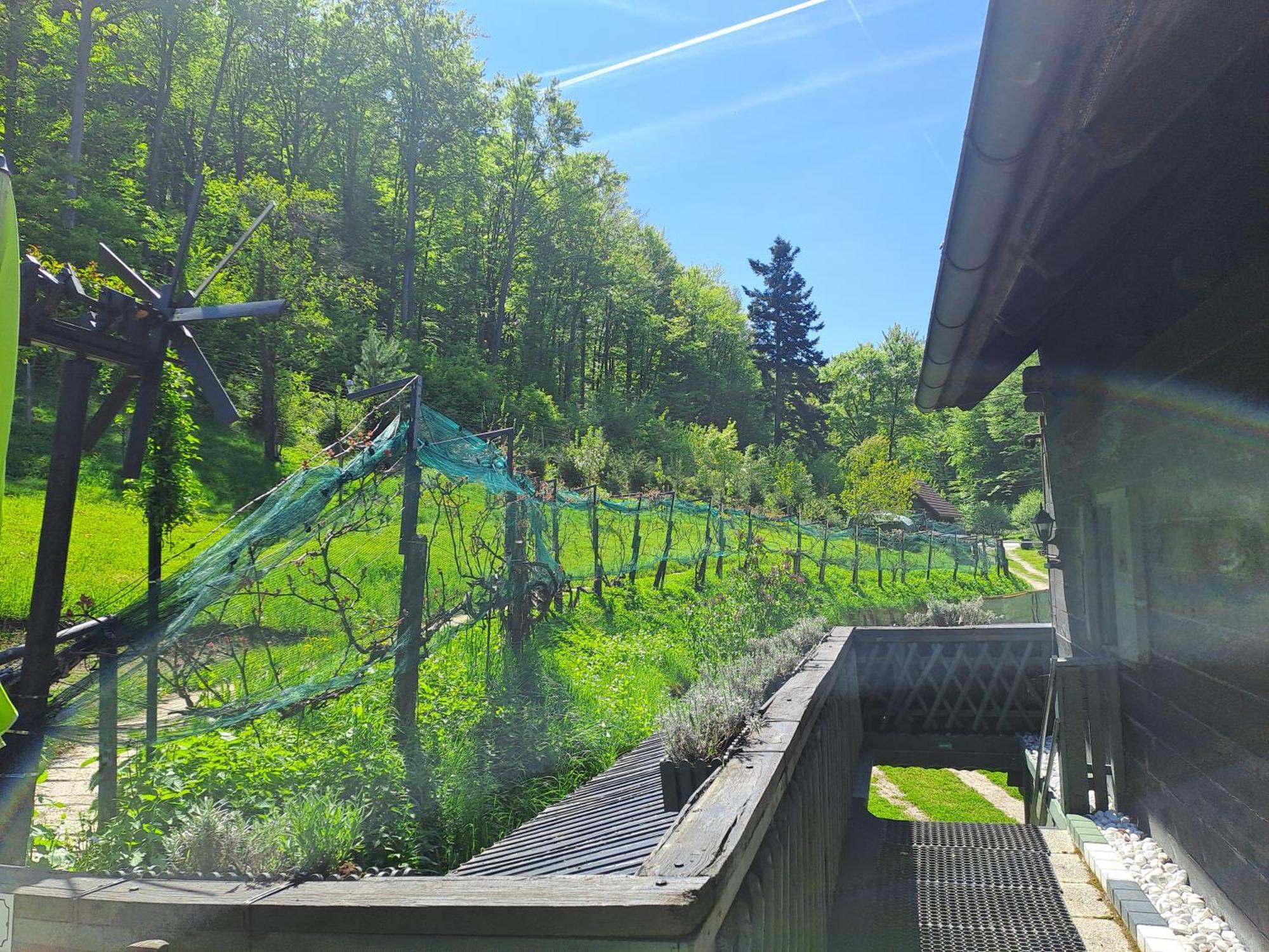 Das Altsteirische Landhaus - La Maison De Pronegg - Feriendomizil Im Biosphaerenpark Wienerwald Pressbaum Exteriér fotografie
