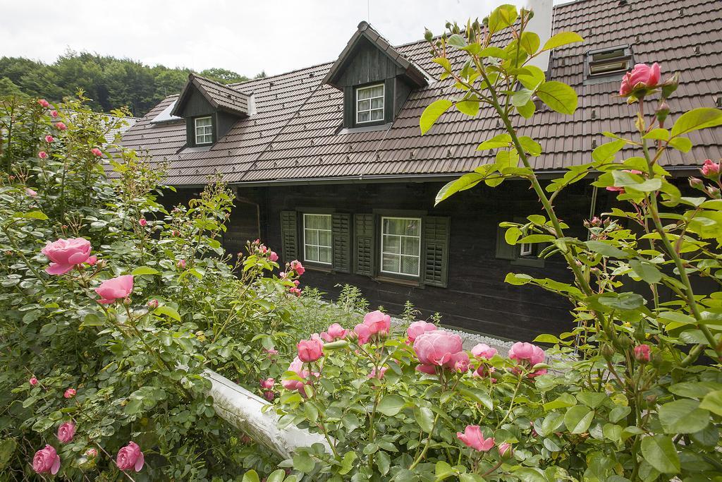 Das Altsteirische Landhaus - La Maison De Pronegg - Feriendomizil Im Biosphaerenpark Wienerwald Pressbaum Pokoj fotografie